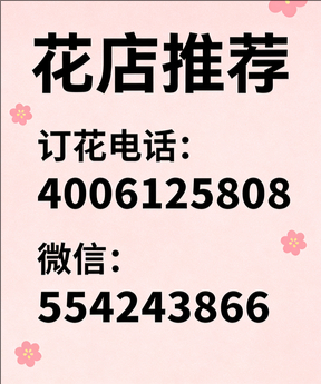 来宾花店哪家好
